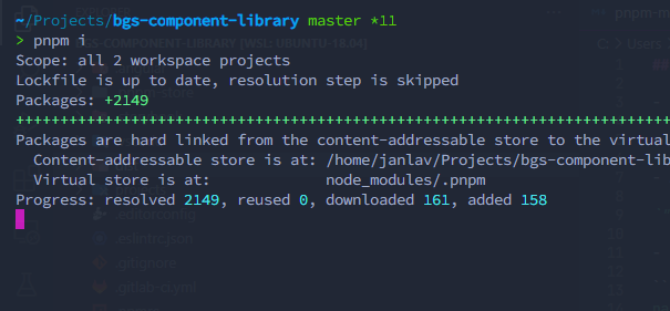 PNPM cache clean